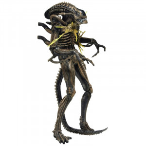  Aliens: Brown Battle Damaged Xenomorph Figure Series 12