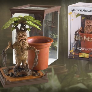  Harry Potter Magical Creatures No 17: Mandrake