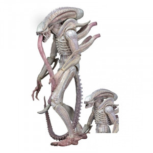 Aliens: Albino Alien Figure Series 9