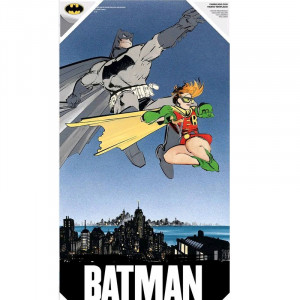 The Dark Knight Returns: Batman and Robin Glass Poster