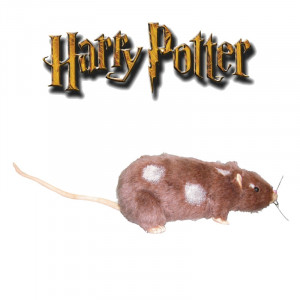Harry Potter Scabbers Plush Fare