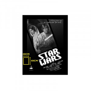  Star Wars: Luke and Leia Black and White Glass Poster