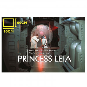 Star Wars: Princess Leia and R2-D2 Glass Poster