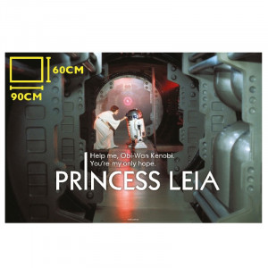  Star Wars: Princess Leia and R2-D2 Glass Poster