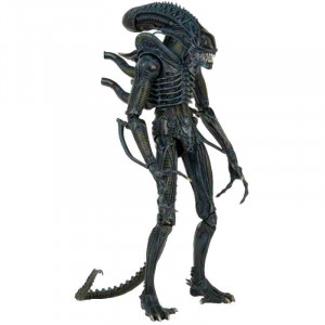  Alien: Warrior 1986 1/4 Scale Figure 56 cm