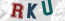 Güvenlik Resmi